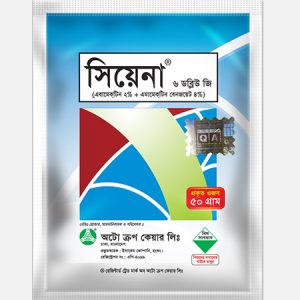 সিয়েনা ®️  ৬ ডব্লিউ জি