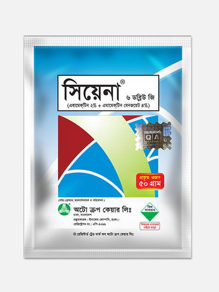 সিয়েনা ®️  ৬ ডব্লিউ জি