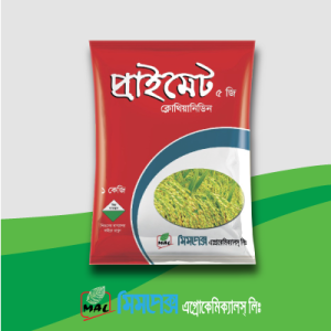 প্রাইমেট ৫ জি